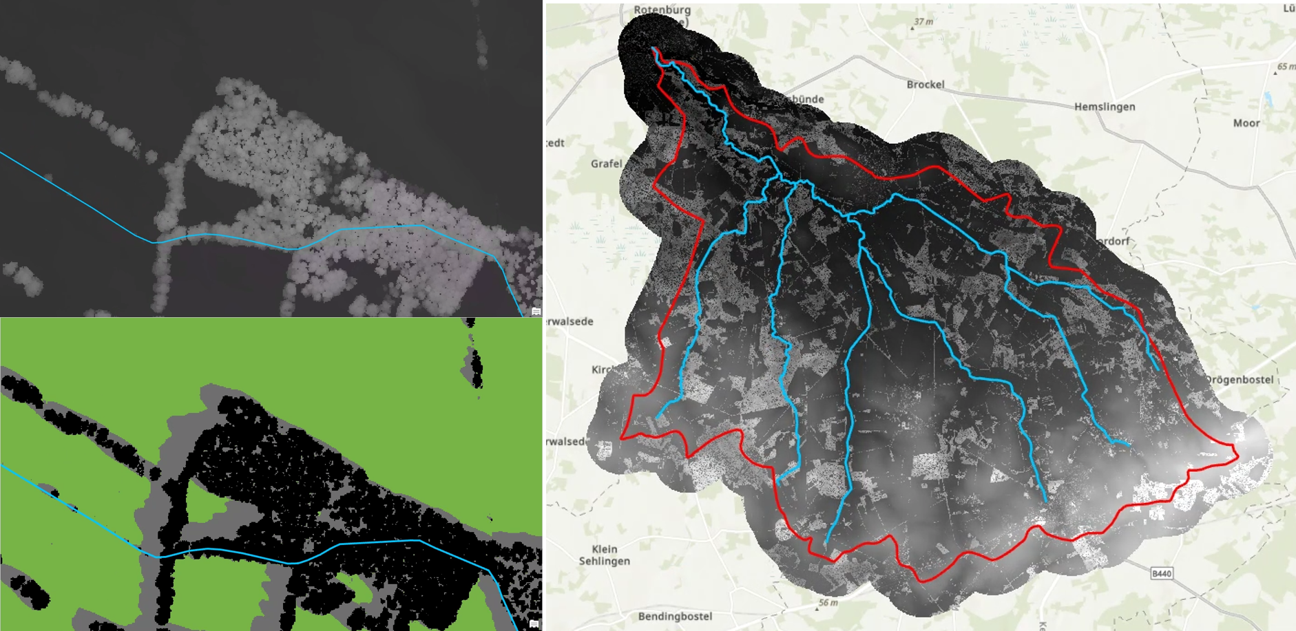 LiDAR Ufergehölz Analyse